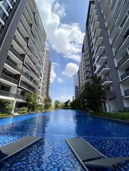 Forest Woods (D19), Condominium #481747301
